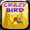 Crazy Bird - Go Far As You Can