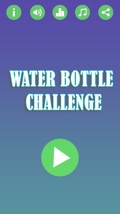 Water Bottle Challenge 2