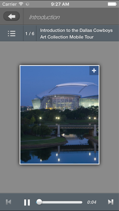 How to cancel & delete Dallas Cowboys Art Collection from iphone & ipad 3