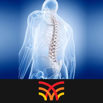 Cervical Spine Читы