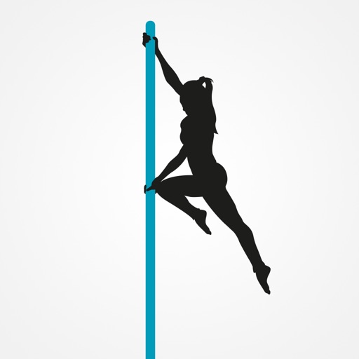 Vertical Fit Pole Dance