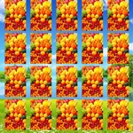 Fruit World Free