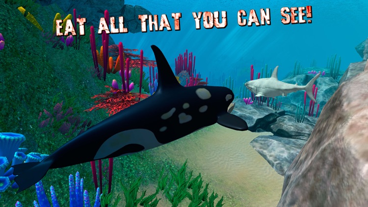 Angry Killer Whale Orca Attack Full screenshot-3