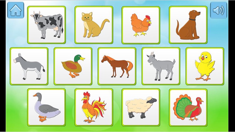 Animals-Kids Learning Memory