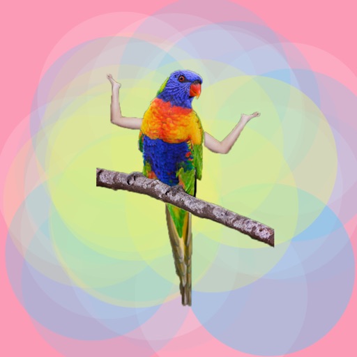 Birds with Arms Stickers