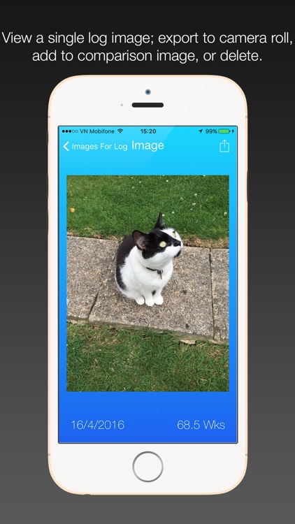 Progressr screenshot-4
