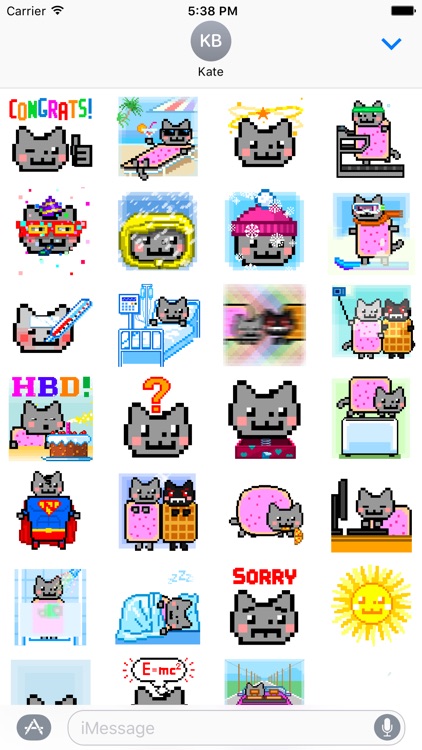 Nyan Cat Premium Stickers