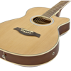 Acoustic Guitar Songs pour PC