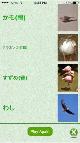 Game screenshot FlashCards Japanese Lesson hack