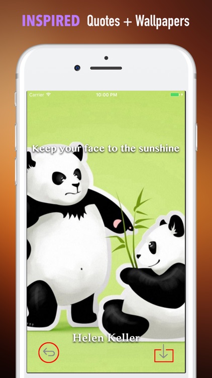 Panda Wallpapers HD- Backgrounds and Art Pictures screenshot-4