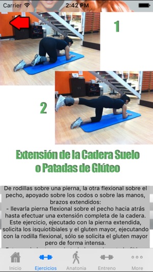 FITNESS ponte 