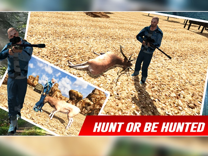 野生动物园鹿狩猎2016年 - 动物狙击第三人