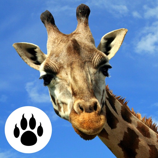 Savanna & Desert Animals Puzzle 2– Logic Game Free Icon