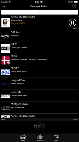 Game screenshot Danish Radio - Dansk Radio hack