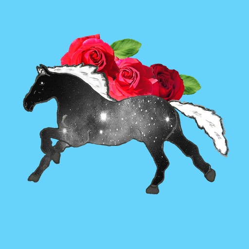 Horses and Glitter