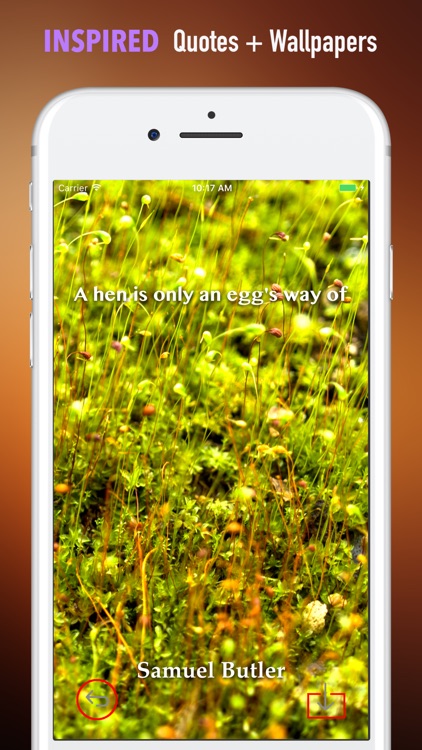 Moss Wallpapers HD- Quotes and Art Pictures screenshot-4