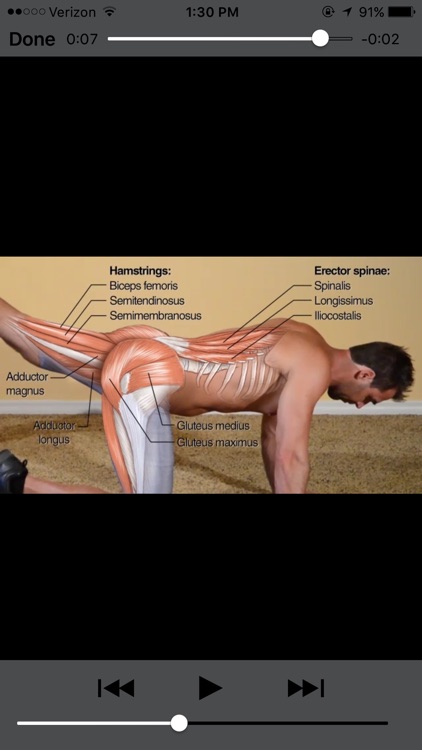 Bodyweight Training Anatomy screenshot-3