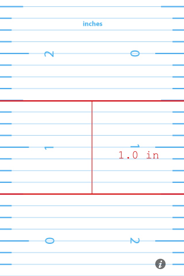 Ruler Professional screenshot 2