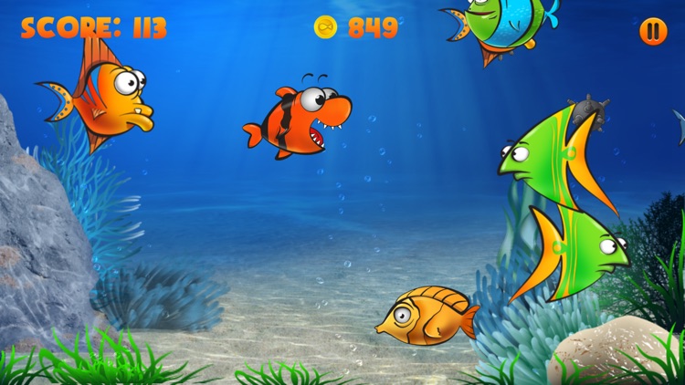 Hungry Nemo