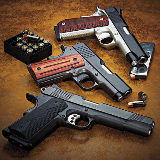 Pocket Handgun Ultimate - Shooting Guns iOS App