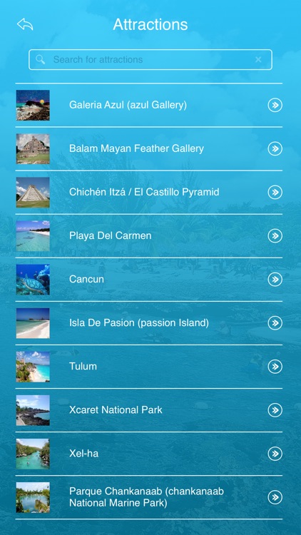 Cozumel Island Tourist Guide