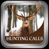 Hunting Calls Fun