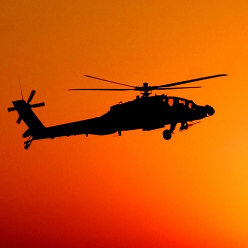 A Helicopter Pilot Defense Force