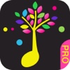 Baby Touch Music Pro, piano& guitar sound
