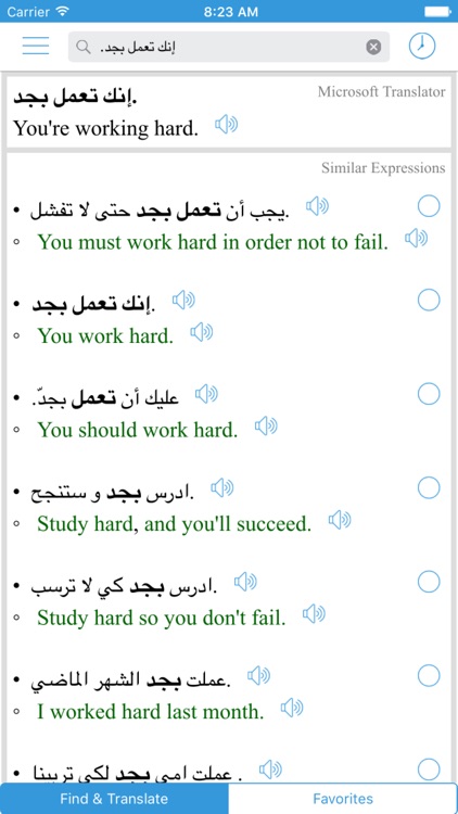Arabic Translator, Offline English Dictionary screenshot-3