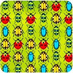 Bugs Match Game 2016 : Good Match