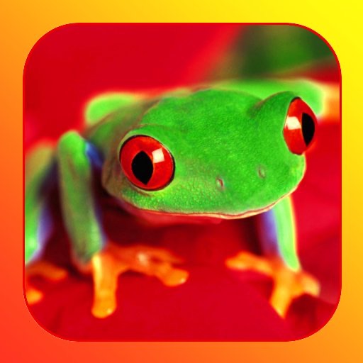 The Frogs Bible icon