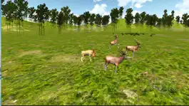 Game screenshot Sniper Deer Guard:Hunt The Lions apk