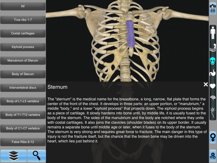 Anatomy 3D for iPad screenshot-3