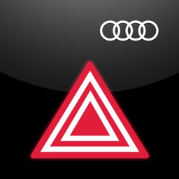 Audi Roadside