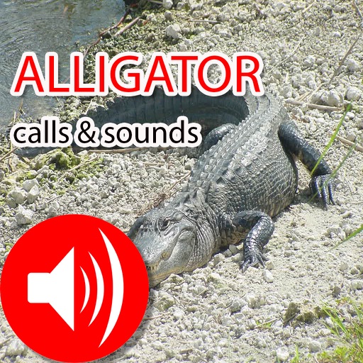 Alligator Real Calls & Sounds icon