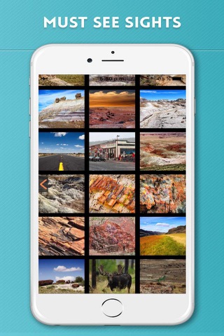 Petrified Forest National Park Visitor Guide screenshot 4