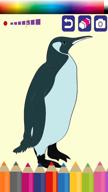 Cute winter penguin coloring page. Line art design for kids colouring book.  Vector illustration Stock Vector Image & Art - Alamy