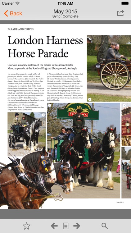 Carriage Driving