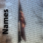 Vietnam Memorial Names