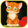 Little Kitten Collecting Game - Fun Country Farm Pets Craze PRO