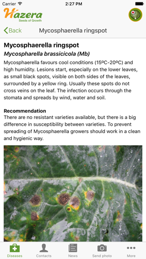 Brassica diseases(圖4)-速報App