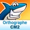 Orthographe au CM2