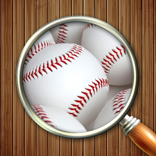 Zoom & Hidden Word - Baseball Edition Icon