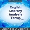 English Literary Analysis Terms 1800Q&A