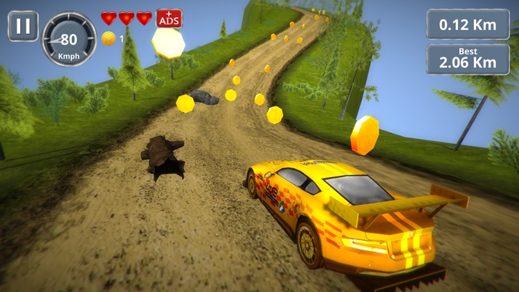 Rally Racing 3D