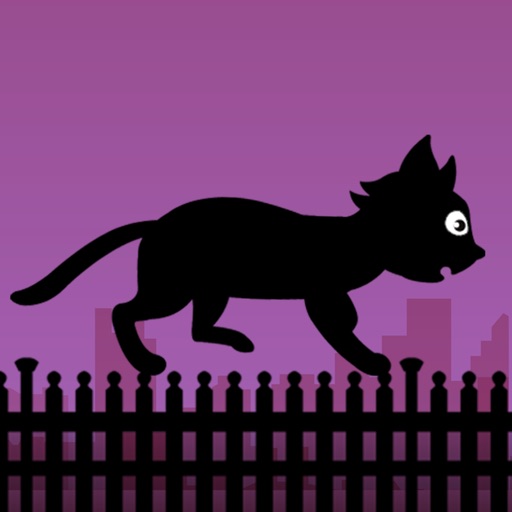 Black Cat Run Icon