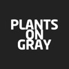 PLANTS ON GRAY-SHOPDDM