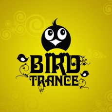 Activities of Bird Trance