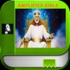 Amplified Bible (Audio) Fire Study Bible tools