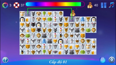 Funny Connect (Twin) - Classic Puzzle Game 1.2 IOS -